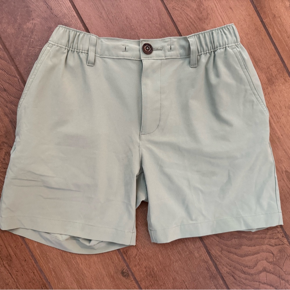 Chubbies Light Green Men’s Shorts 6 Inch Everywhere.
